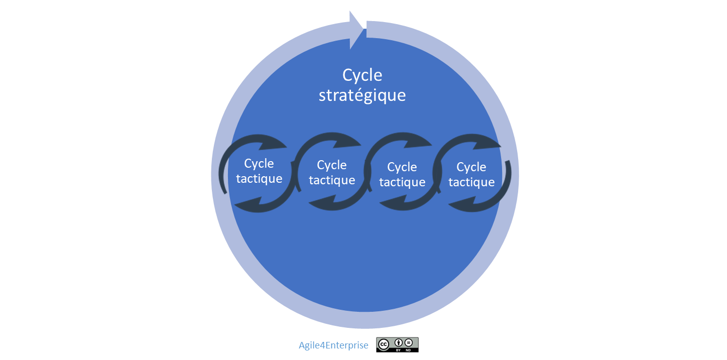 Imbrication du cycle stratégique et des cycles tactiques